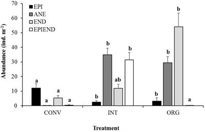 Intensive Cultivation of Kiwifruit Alters the Detrital Foodweb and Accelerates Soil C and N Losses